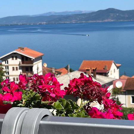 Vila Vista Magica Radozda Στρούγκα Εξωτερικό φωτογραφία
