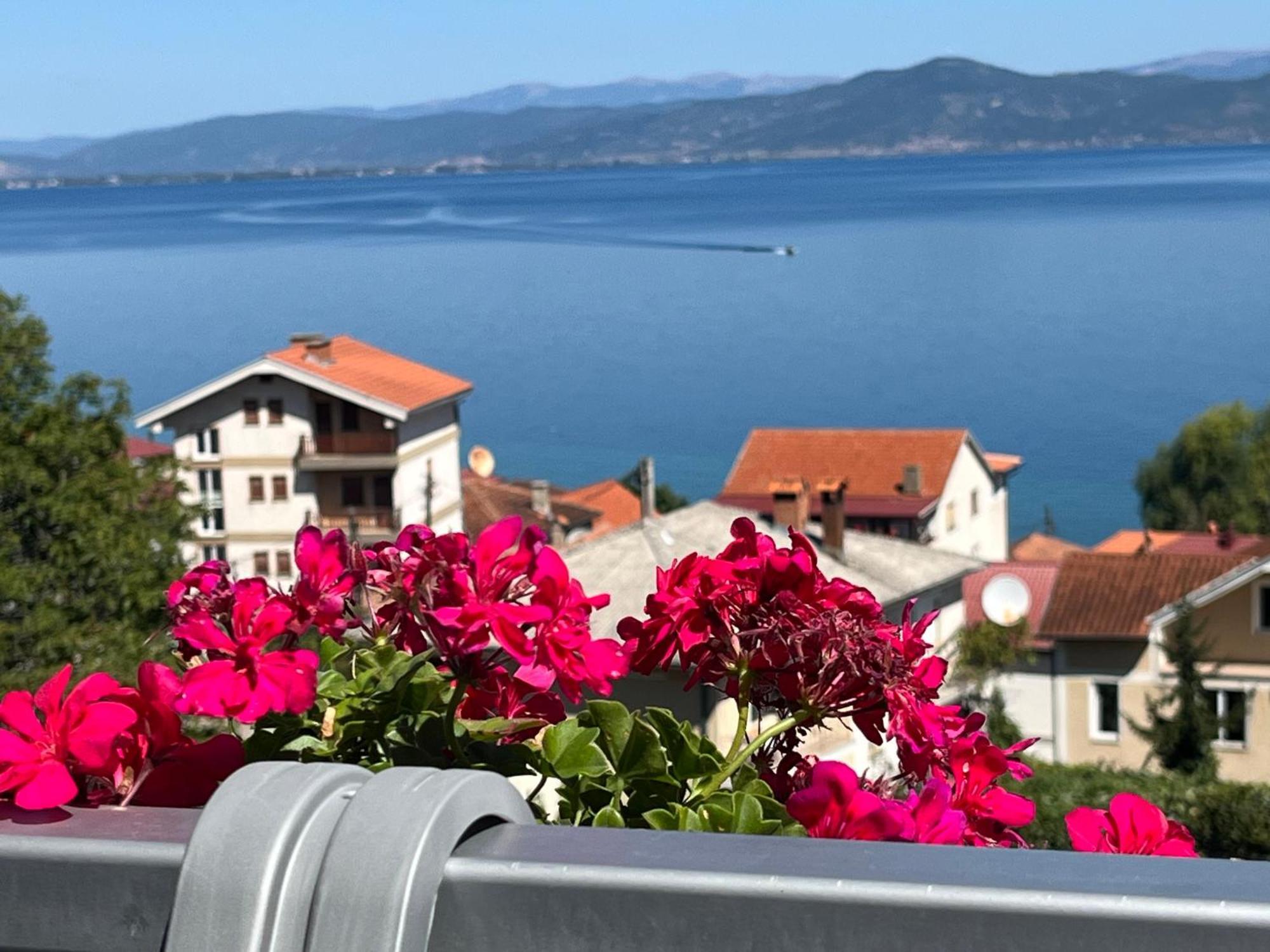 Vila Vista Magica Radozda Στρούγκα Εξωτερικό φωτογραφία